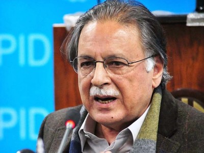 Pervaiz Rashid