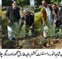 Plantation Campaign