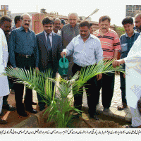 Plantation Campaign