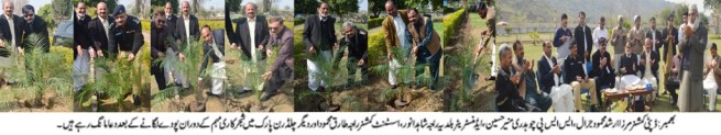 Plantation Campaign