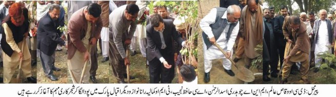 Plantation Campaign Opening