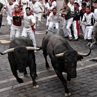 Spain Bulls Race