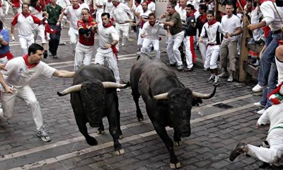 Spain Bulls Race