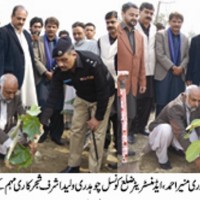 Tree planting