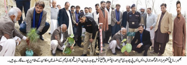 Tree planting