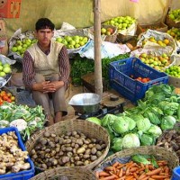 Vegetables Shop