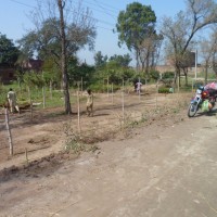 Wazirabad Nursery