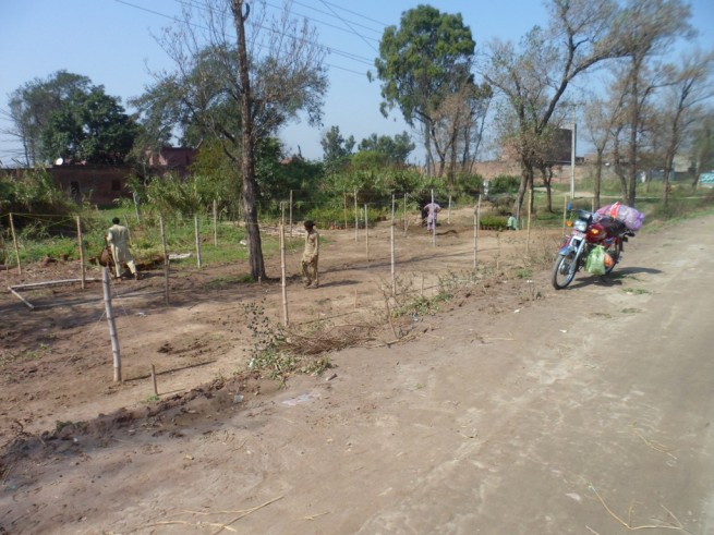 Wazirabad Nursery