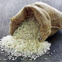 Basmati