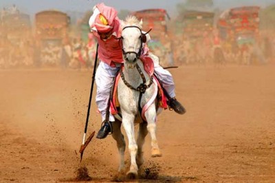 Horse And Cattle Show