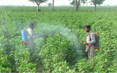 Pakistan Agriculture