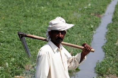 Pakistan Farmers