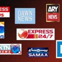 Pakistani Media