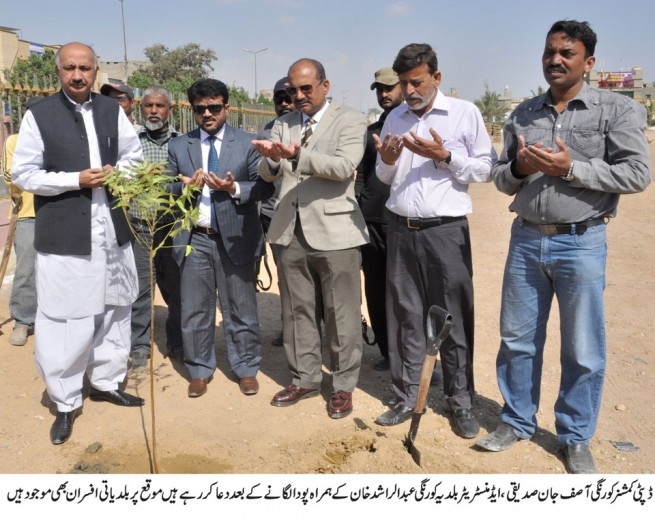 Plants Planted In Korangi