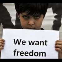 We Want Freedom