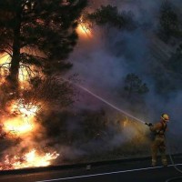 California Forest Fire