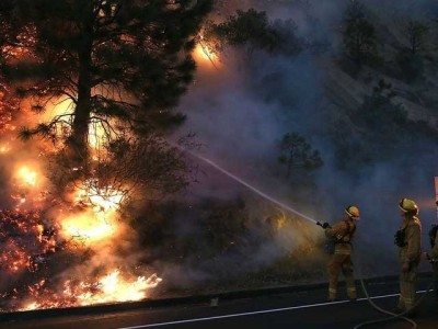 California Forest Fire