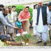 Quratulain Maimen Greening Campaign Launched