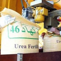 Urea