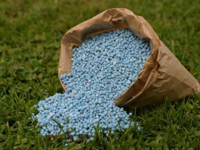 Urea