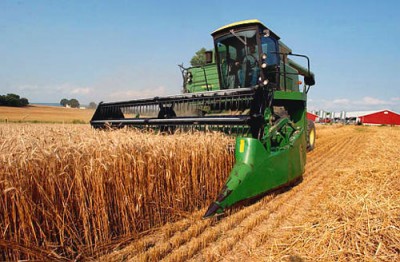 Wheat Field Harvest