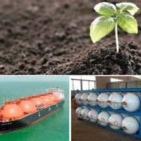 CNG Fertilizer And LNG