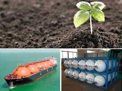 CNG Fertilizer And LNG