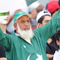 Chacha Cricket