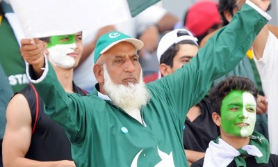 Chacha Cricket