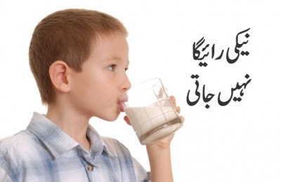 Boy Drinking Milk