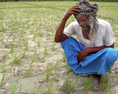 Indian Farmer