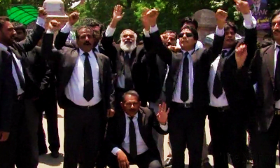 Lawyers Protest