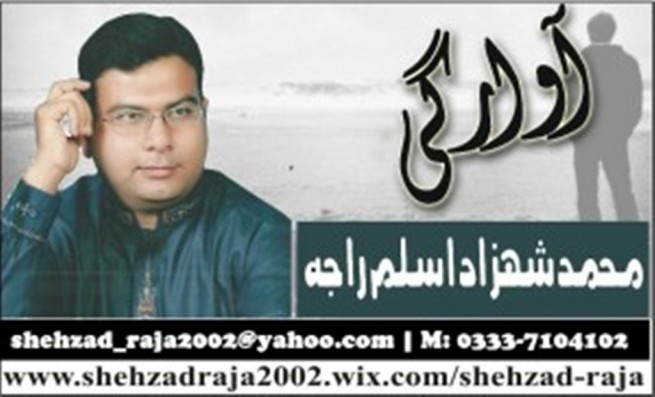 Muhammad Shehzad Aslam