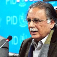 Pervez Rashid