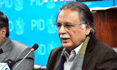 Pervez Rashid