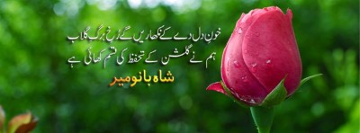 Shahbano Mir Poetry