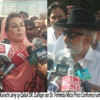 Zulfiqar Mirza and Fehmida Mirza