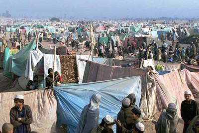 Afghan Refugees