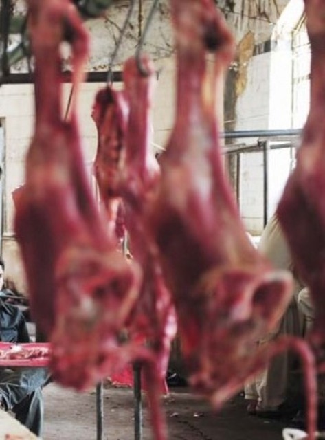راولپنڈی میں مردہ جانوروں کا 40 من گوشت پکڑ لیا گیا