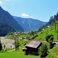 Lush Green Views