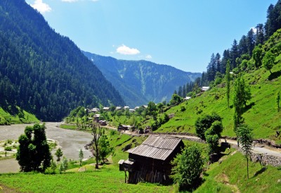 Lush Green Views