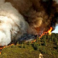 Southern California Forests Fire