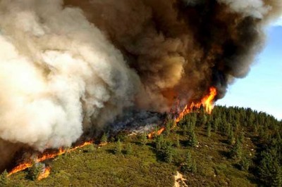 Southern California Forests Fire