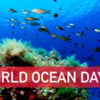 World Ocean Day