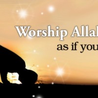 Worship Allah