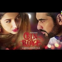 Bin Roye