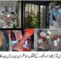 Bndalh Shaheed Widow House Attacked