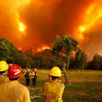 California Forest Fire