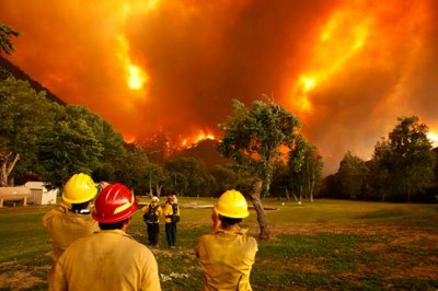 California Forest Fire