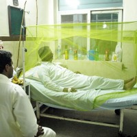 Dengue Patient